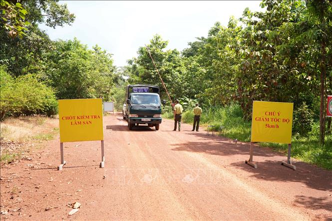 Trên tuyến từ cầu Mã Đà đến ngã ba Bà Hào thuộc Khu bào tồn thiên nhiên văn hóa Đồng Nai được lực lượng kiểm lâm chốt chặn, kiểm tra khi có người ra vào rừng. Ảnh: Sỹ Tuyên - TTXVN