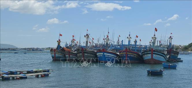 Gia Lai hướng đến giảm quy mô đội tàu. Ảnh: Đình Quân - TTXVN