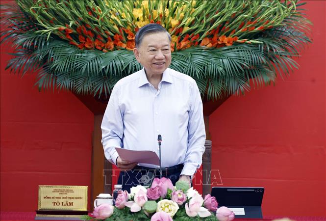 Tổng Bí thư, Chủ tịch nước Tô Lâm phát biểu. Ảnh: Thống Nhất – TTXVN