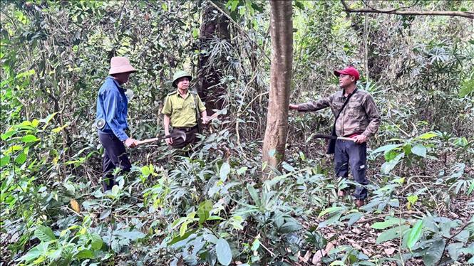 Cán bộ Hạt kiểm lâm Cẩm thủy, Chi cục kiểm lâm tỉnh Thanh Hóa  và người dân tuần tra, bảo vệ và phòng cháy rừng mùa nắng nóng.
Ảnh: Nguyễn Nam-TTXVN