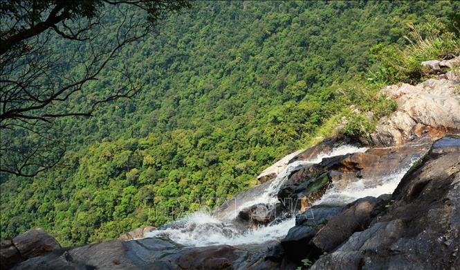 Với độ cao khoảng 300m, dòng nước đổ từ trên đỉnh thác Đỗ Quyên xuống tạo thành một dải bọt trắng xóa, nổi bật giữa nền xanh thẫm của rừng già. Ảnh: Văn Dũng-TTXVN