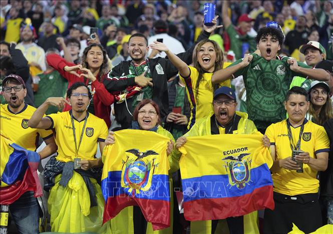 Các cổ động viên đội tuyển Ecuador. Ảnh: THX/TTXVN phát