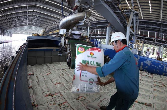 Vận chuyển sản phẩm phân đạm phục vụ thị trường trong nước ở Nhà máy đạm Cà Mau (Công ty Cổ phần Tổng công ty Phân bón Dầu khí Cà Mau), xã Khánh An, tỉnh Cà Mau. Ảnh: Vũ Sinh - TTXVN