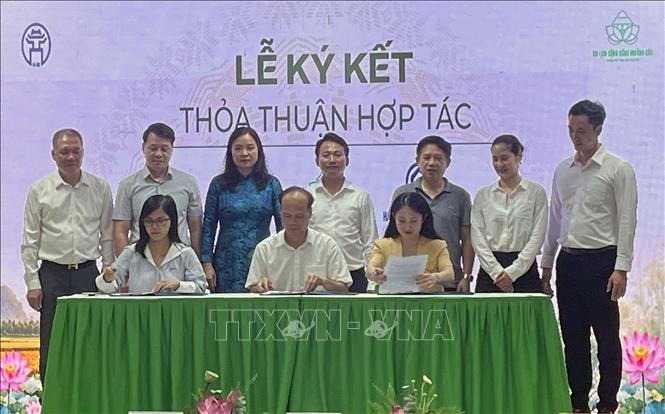 Đại diện chính quyền xã Mỹ Đức, các doanh nghiệp lữ hành và Tổ điều phối du lịch cộng đồng Mường Cốc ký kết biên bản ghi nhớ hợp tác phát triển sản phẩm, dịch vụ du lịch. Ảnh: Tuyết Mai – TTXVN 
