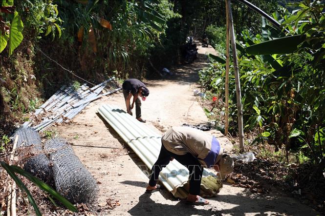 Người dân vận chuyển những vật liệu không thân thiện môi trường vào trong rừng để trồng sâm. Ảnh: Đỗ Trưởng – TTXVN