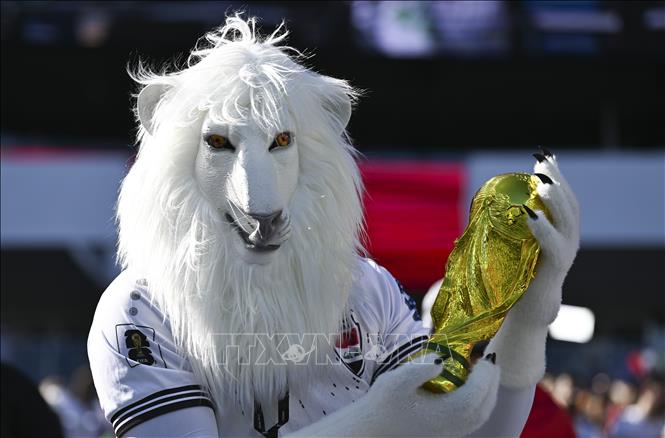 World Cup 2026 đã đi được nửa chặng đường. Những người yêu thích môn túc cầu đã được hòa mình vào bầu không khí sôi động, ngập tràn cảm xúc của ngày hội bóng đá lớn nhất hành tinh, trong đó có những khoảnh khắc ấn tượng, đặc biệt là hình ảnh về cổ động viên. Ảnh: Cổ động viên Iraq cổ vũ đội nhà. Ảnh: THX/TTXVN phát