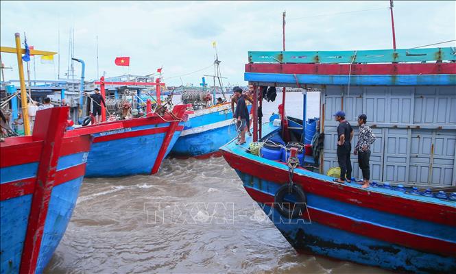 Tàu đang chuẩn bị vào bến tại cảng cá Ninh Cơ để tránh trú bão. Ảnh: Công Luật - TTXVN