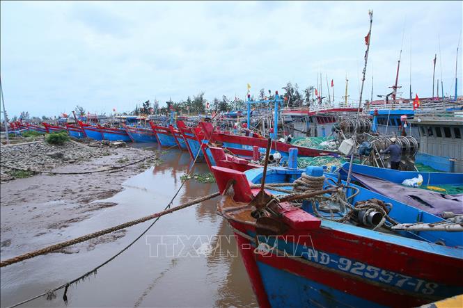 Tàu thuyền neo đậu tại cảng cá Ninh Cơ, xã Hải Thịnh để tránh trú bão. Ảnh: Công Luật - TTXVN