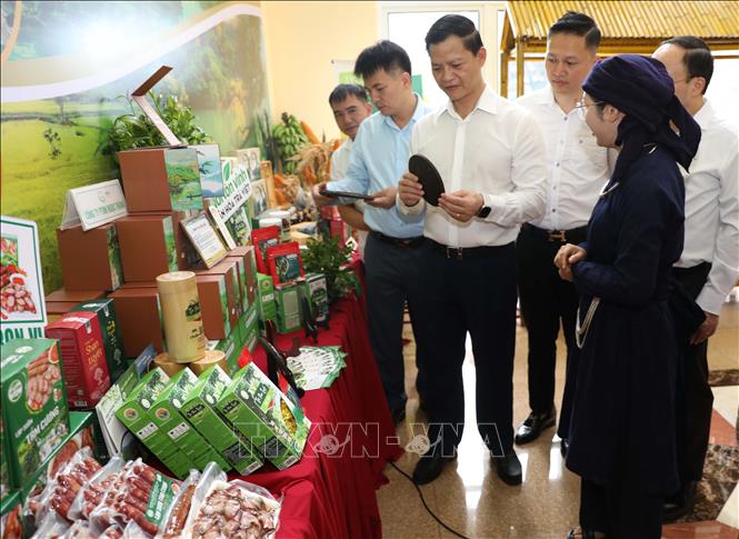 Lãnh đạo tỉnh Thái Nguyên thăm các gian hàng OCOP của các xã phía Bắc tỉnh Thái Nguyên. Ảnh: Vũ Hoàng Giang - TTXVN
