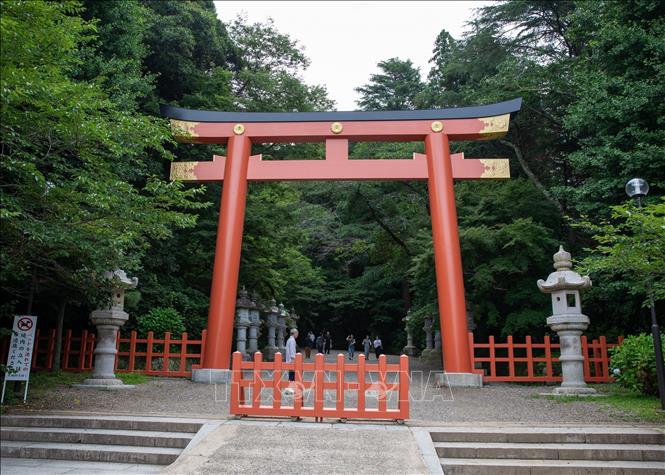 Con đường dẫn lên đền Katori Jingu bao quanh bởi những hàng cây cổ thụ xanh mát, tạo nên bầu không khí trang nghiêm và yên tĩnh. Ảnh: Xuân Giao - PV TTXVN tại Nhật Bản