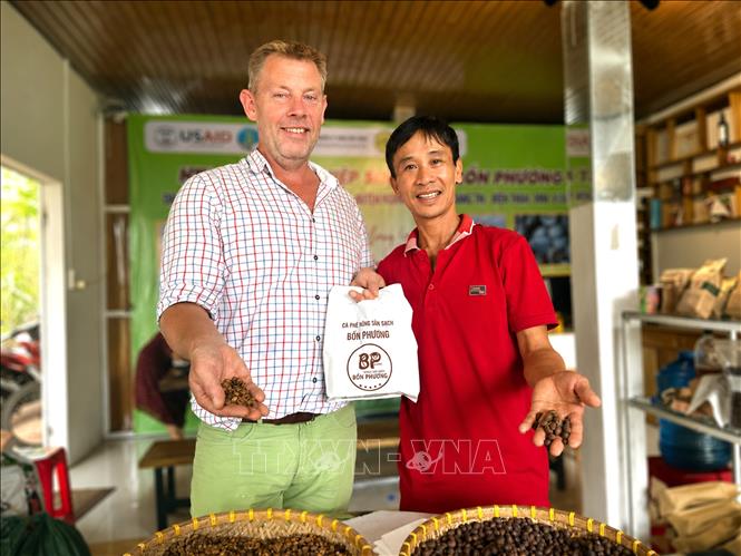 Chuyên gia Harro Boekhold (bên trái) và ông Nguyễn Duy Phương, Giám đốc HTX Nông nghiệp sinh thái Bốn Phương (Bốn Phương Coffee), trao đổi về quy trình sản xuất cà phê đặc sản Arabica Khe Sanh. Ảnh: Nguyên Linh - TTXVN