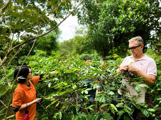 Chuyên gia Harro Boekhold đề xuất thông điệp 
