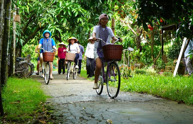 Du khách đạp xe tham quan cung đường xoài ở xã Mỹ Thọ, tỉnh Đồng Tháp. Ảnh: Nhựt An - TTXVN
