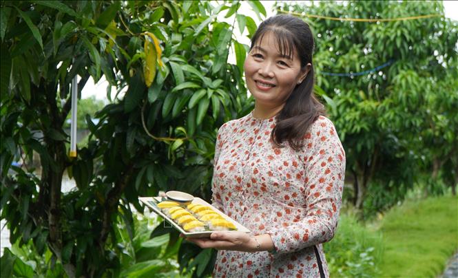 Du khách thích thú với món xôi xoài (hay gọi là món sushi xoài). Ảnh: Nhựt An - TTXVN