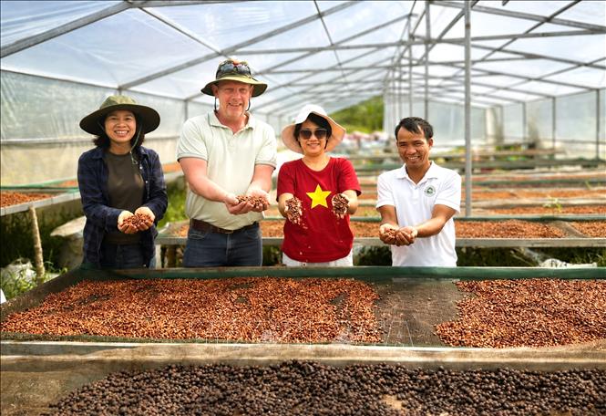 Chuyên gia Harro Boekhold chia sẻ: Khe Sanh không cần trở thành bản sao của bất kỳ vùng cà phê nổi tiếng nào trên thế giới; giá trị của vùng đất này nằm ở câu chuyện về con người, hạt cà phê và hành trình từ chiến tranh đến hòa bình. Ảnh: TTXVN phát
