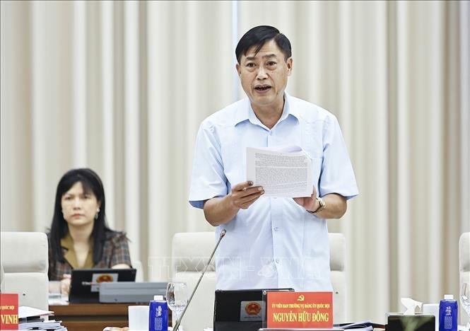 Uỷ viên Ban Thường vụ Đảng uỷ Quốc hội Nguyễn Hữu Đông phát biểu. Ảnh: Doãn Tấn - TTXVN