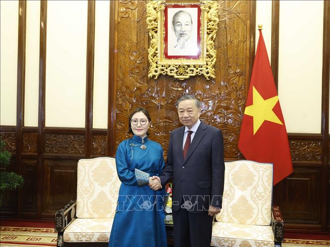 Tổng Bí thư, Chủ tịch nước Tô Lâm với Đại sứ Mông Cổ Hulan Ganbaatar. Ảnh: Thống Nhất – TTXVN