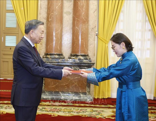 Tổng Bí thư, Chủ tịch nước Tô Lâm nhận Quốc thư từ Đại sứ Mông Cổ Hulan Ganbaatar. Ảnh: Thống Nhất – TTXVN