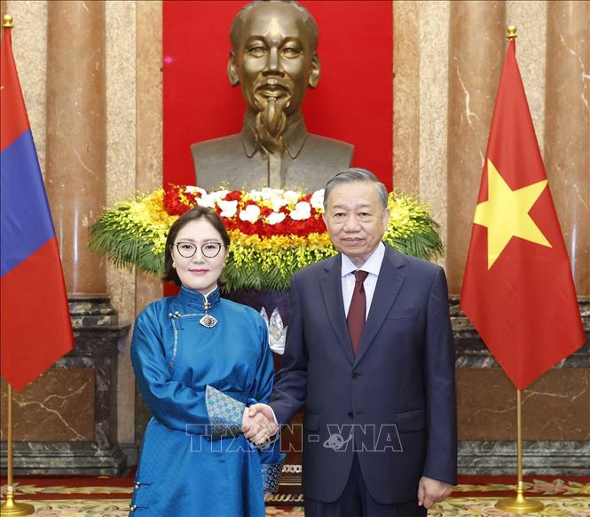 Tổng Bí thư, Chủ tịch nước Tô Lâm với Đại sứ Mông Cổ Hulan Ganbaatar. Ảnh: Thống Nhất – TTXVN