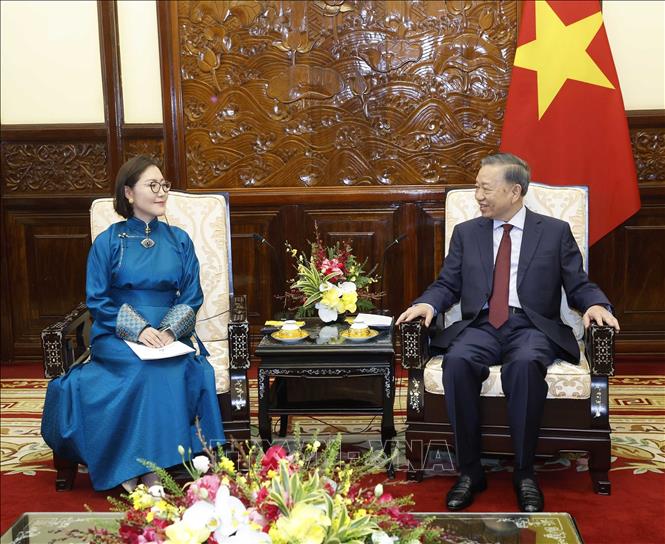 Tổng Bí thư, Chủ tịch nước Tô Lâm tiếp Đại sứ Mông Cổ Hulan Ganbaatar. Ảnh: Thống Nhất – TTXVN
