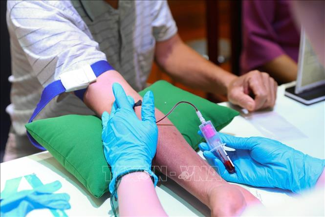 Quy trình thu nhận mẫu sinh phẩm ADN được thực hiện chặt chẽ, bảo đảm chính xác và an toàn. Ảnh: Tiến Long/TTXVN phát