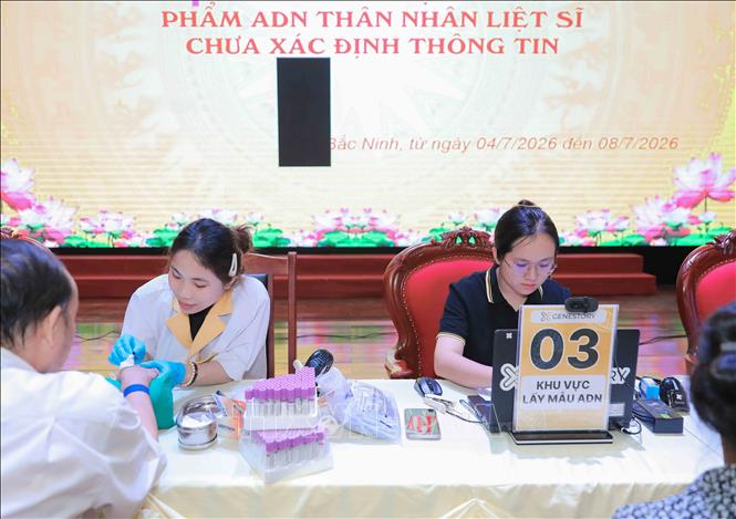 Quy trình thu nhận mẫu sinh phẩm ADN được thực hiện chặt chẽ, bảo đảm chính xác và an toàn. Ảnh: Phan Phương-TTXVN