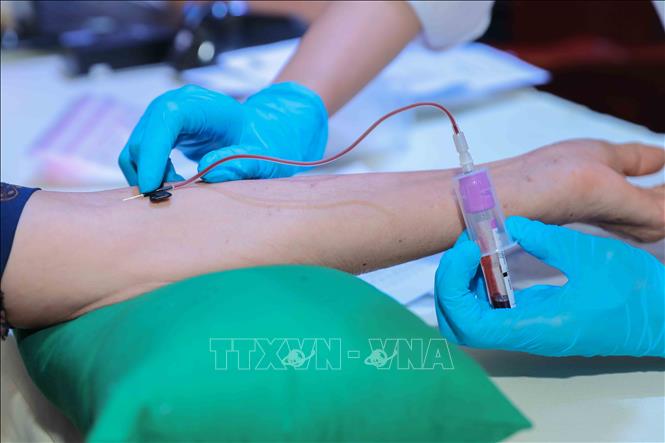 Quy trình thu nhận mẫu sinh phẩm ADN được thực hiện chặt chẽ, bảo đảm chính xác và an toàn. Ảnh: Phan Phương-TTXVN