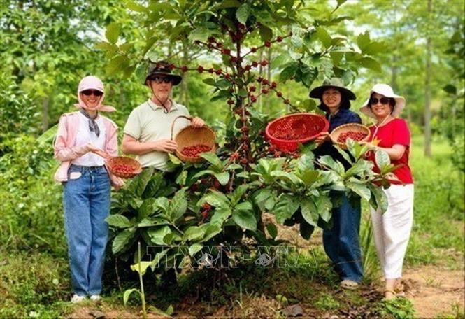 Chuyên gia du lịch Hà Lan Harro Boekhold (thứ 2, trái sang), người đề xuất thông điệp 
