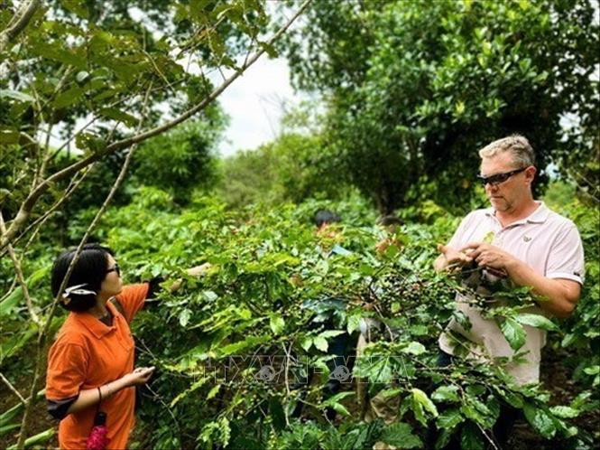 Chuyên gia du lịch Hà Lan Harro Boekhold (bên phải), người đề xuất thông điệp 