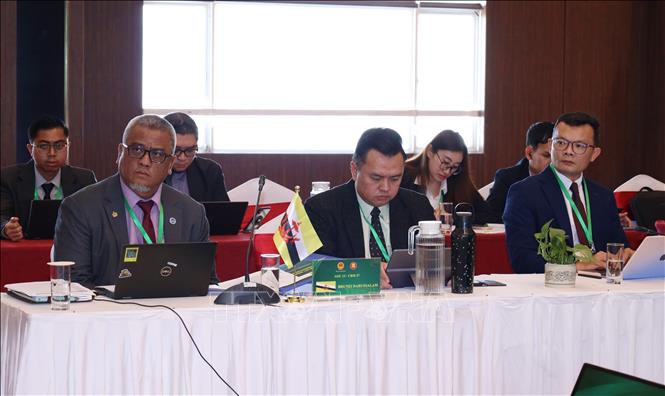 Đại biểu tham dự Hội nghị Ban Điều phối ASEAN-OSHNET lần thứ 27 tại Đà Nẵng. Ảnh: Trần Lê Lâm - TTXVN 