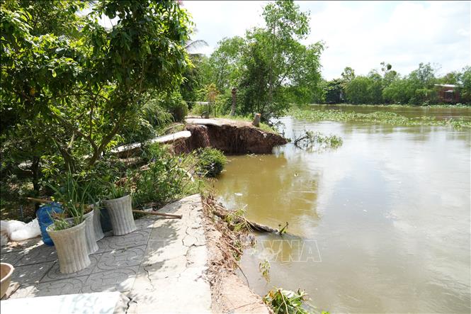 Một đoạn đường ven bờ Tây sông Trà Lọt, thuộc ấp Hòa Phú, xã Cái Bè (Đồng Tháp) bị sụt lún. Ảnh: Công Trí - TTXVN