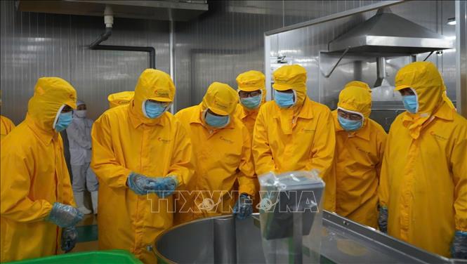 Đoàn công tác Tỉnh ủy Cà Mau khảo sát quy trình sản xuất tại nhà máy. Ảnh: Tuấn Phi - TTXVN