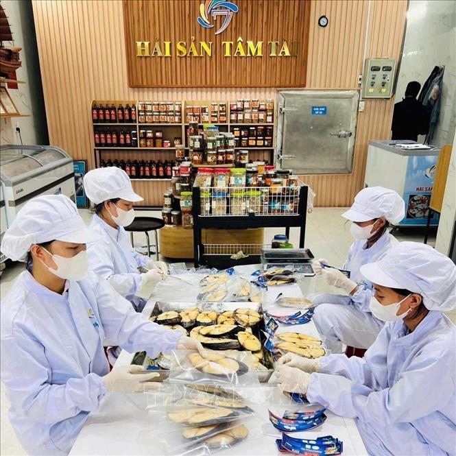 Tam Tai seafood establishment in Cua Lo ward has invested in a modern drying system, designed packaging, and implemented traceability labels for its products to ensure quality and aesthetics, meeting the needs of consumers. VNA Photo: Bích Huệ