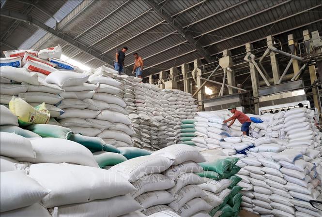 Kho gạo xuất khẩu đi Philippines, Trung Quốc tại Công ty TNHH Dương Vũ, huyện Thủ Thừa, tỉnh Long An. Ảnh: Hồng Đạt - TTXVN
