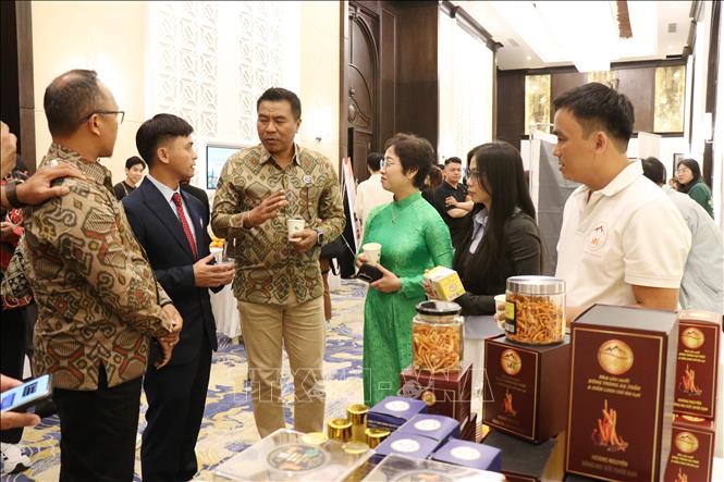 Đại diện các doanh nghiệp du lịch Indonesia tham quan, tìm hiểu các sản phẩm nông nghiệp đặc trưng của tỉnh Lâm Đồng nhằm kết nối, phát triển các sản phẩm du lịch nông nghiệp bên lề chương trình. Ảnh: Nguyễn Huy Thành - TTXVN