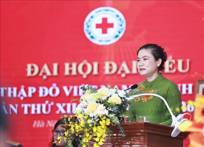 Chủ tịch Hội Chữ thập đỏ Việt Nam Đỗ Thị Thu Thảo phát biểu. Ảnh: Thanh Tùng - TTXVN