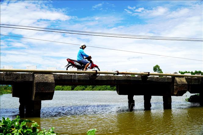 Cầu Đò Mốc, phường Trà Câu xuống cấp nghiêm trọng, không còn khả năng chịu tải đối với các phương tiện có tải trọng trên 10 tấn. Ảnh: Lê Phước Ngọc/TTXVN                            