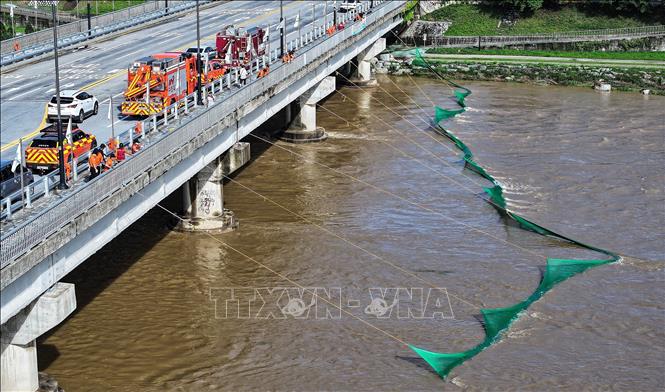 Lực lượng cứu hộ giăng lưới để tìm kiếm người đàn ông bị nước lũ cuốn trôi tại suối Namwon, tỉnh Gyeongsang Bắc, Hàn Quốc ngày 9/7/2026. Ảnh: Yonhap/TTXVN phát