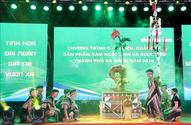 Chương trình rước tượng trưng bảo vật Sâm Ngọc Linh tại chương trình quảng bá sâm Ngọc Linh và dược liệu đến với du khách. Ảnh: Trần Tĩnh - TTXVN