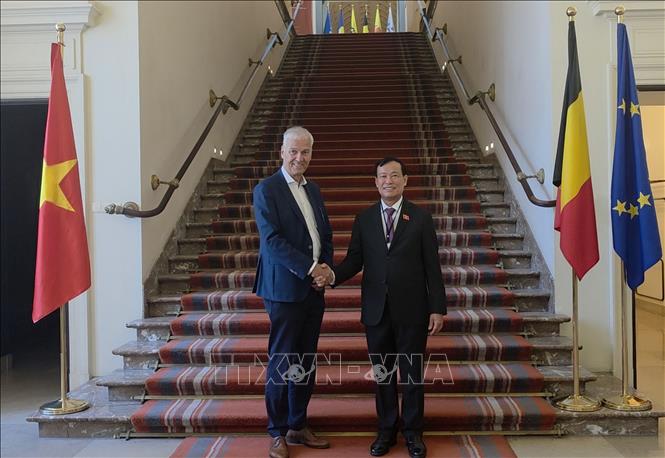 Chủ nhiệm Ủy ban QPANĐN của Quốc hội Lê Tấn Tới chào xã giao Phó Chủ tịch thứ nhất Thượng viện Bỉ Andries Gryffroy. Ảnh: Lan Anh, Duy Tùng - PV TTXVN tại Vương quốc Bỉ 