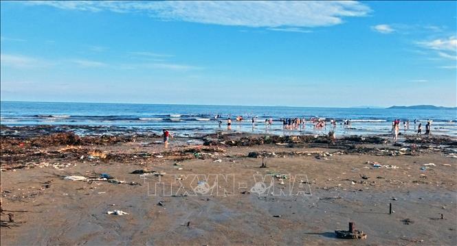 Đến chiều 11/7/2026, trải dọc suốt chiều dài của bãi biển Trà Cổ, đâu đâu cũng là rác, vỏ ốc, vỏ các loại thủy sản loài 2 mảnh. Ảnh: Văn Đức - TTXVN
