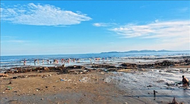 Đến chiều 11/7/2026, trải dọc suốt chiều dài của bãi biển Trà Cổ, đâu đâu cũng là rác, vỏ ốc, vỏ các loại thủy sản loài 2 mảnh. Ảnh: Văn Đức - TTXVN
