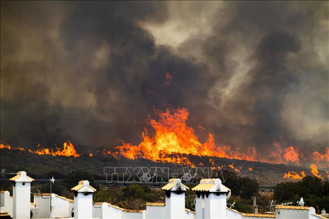 Lửa cháy rừng bùng phát dữ dội tại Los Gallardos, Almeria, Tây Ban Nha ngày 10/7/2026. Ảnh: Anadolu Agency/TTXVN phát