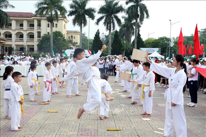 Màn biểu diễn võ thuật của các vận động viên đến từ câu lạc bộ võ Taekwondo Phủ Lý (Ninh Bình) Ảnh: Nguyễn Chinh - TTXVN
