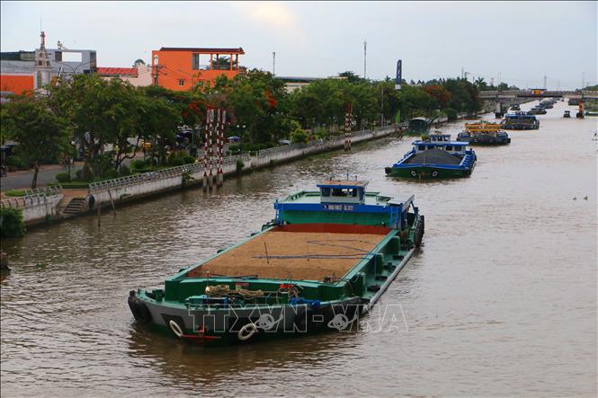 Xà lan vận chuyển hàng hóa khối lượng lớn trên kênh xáng Xà No. Ảnh: Duy Khương – TTXVN