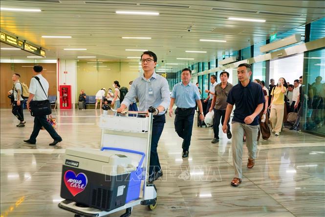 Các bác sĩ Bệnh viện Đại học Y dược Thành phố Hồ Chí Minh vận chuyển tim từ Hà Nội về Thành phố Hồ Chí Minh. Ảnh: TTXVN phát
