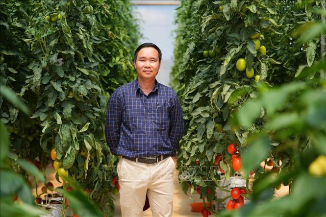 Ông Đặng Văn Niên, Tổng Giám đốc Công ty TNHH Rijk Zwaan Việt Nam khẳng định công tác quy hoạch sản xuất mang tính chiến lược dài hạn là một trong những ưu tiên hàng đầu khi các tổ chức FDI quyết định rót vốn. Ảnh: Diệu Thúy - TTXVN