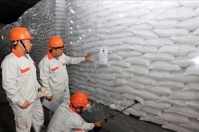 Công chức Chi cục Dự trữ Nhà nước khu vực III kiểm tra, theo dõi chặt chẽ diễn biến chất lượng hàng hóa nhằm kịp thời phát hiện và xử lý các yếu tố phát sinh có thể ảnh hưởng đến chất lượng hàng dự trữ. Ảnh: Phạm Hậu - TTXVN