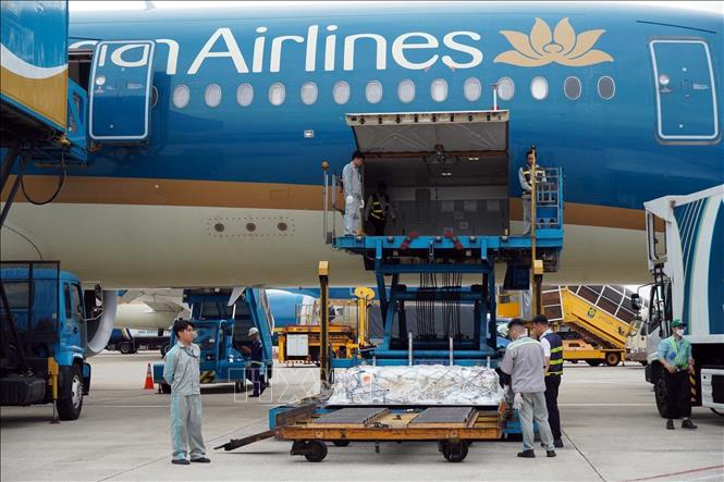 The bodies of Indian tourists who lost their lives in the July 11 canoe capsize in Phu Quoc are transferred onto an aircraft for repatriation to India. Photo by courtesy/VNA