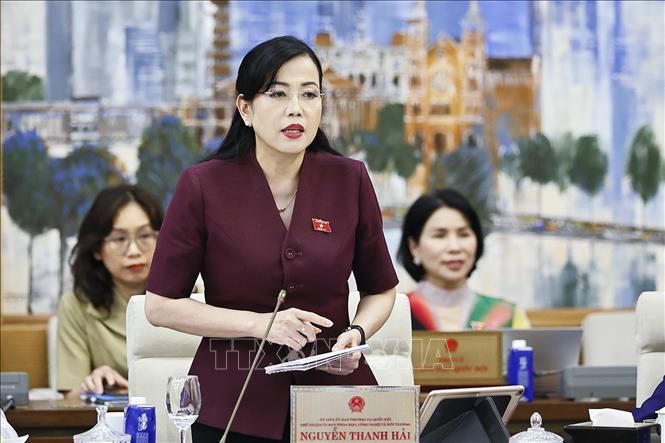 Chủ nhiệm Ủy ban Khoa học, Công nghệ và Môi trường của Quốc hội Nguyễn Thanh Hải phát biểu. Ảnh: Doãn Tấn - TTXVN